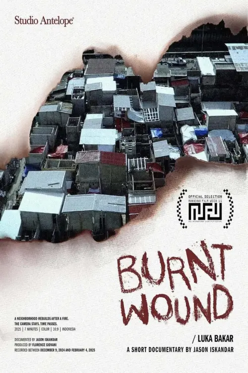 Movie poster "Burnt Wound"