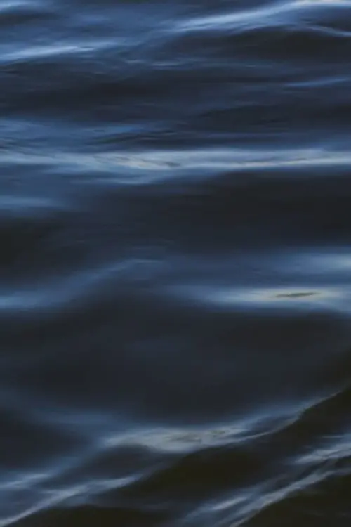 Movie poster "The Flood"