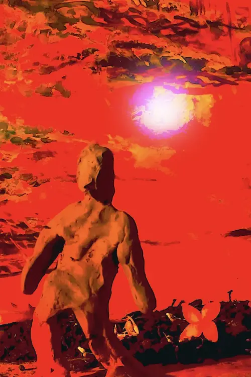 Movie poster "Barro"