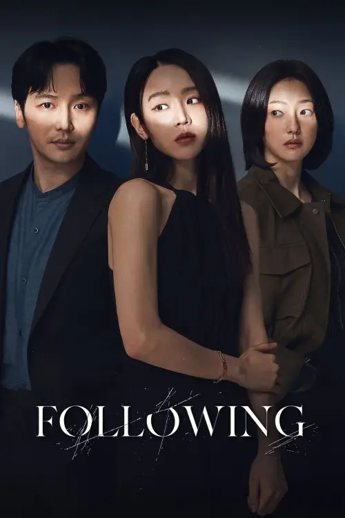 Movie poster "Following"