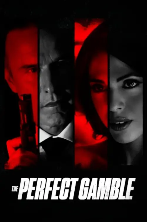 Movie poster "The Perfect Gamble"