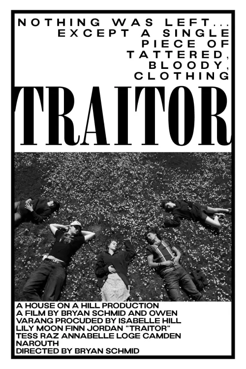 Movie poster "Traitor"