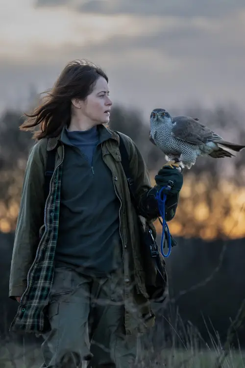 Movie poster "H Is for Hawk"