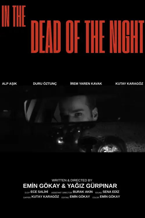 Movie poster "In the Dead of the Night"
