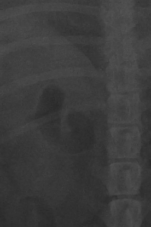 Movie poster "LA NOVIA DE MI AMIGO."