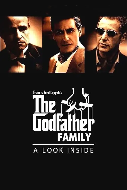 Movie poster "The Godfather Family: A Look Inside"