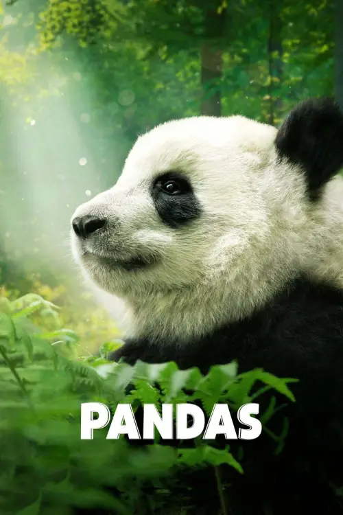 Movie poster "Pandas"