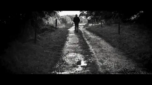 Watch film The Days of Trees | The Days of Trees (trailer) - 68th Cork International Film Festival