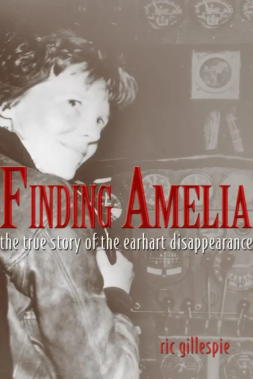 Movie poster "Finding Amelia"