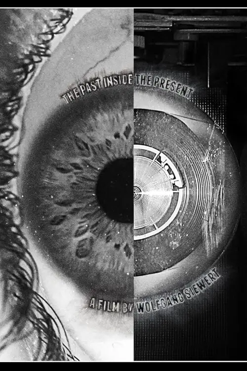 Movie poster "The Past Inside The Present"