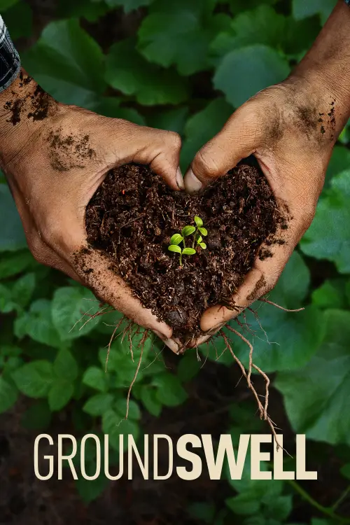 Movie poster "Groundswell"