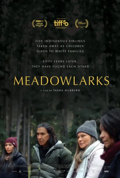 Movie poster "Meadowlarks"