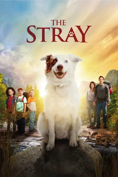 Movie poster "The Stray"