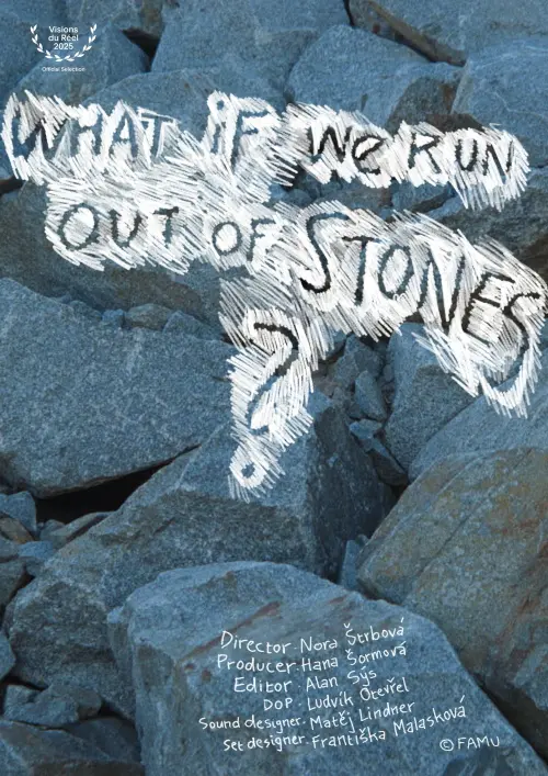 Movie poster "What If We Run Out of Stones?"
