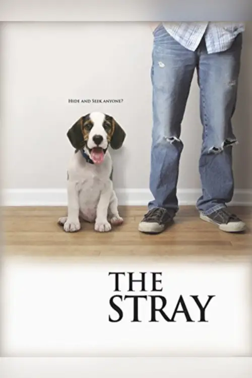 Movie poster "The Stray"