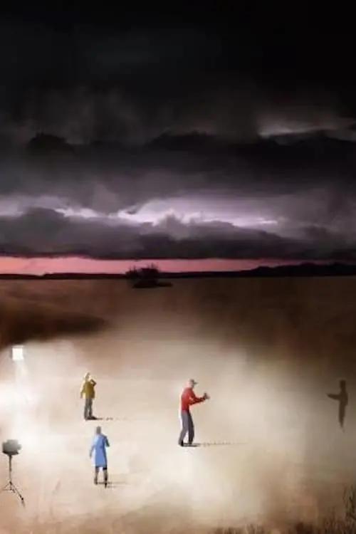 Movie poster "The Field"