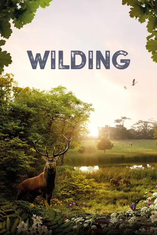Movie poster "Wilding"