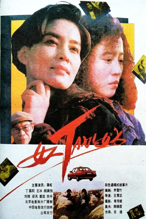 Movie poster "Woman-Taxi-Woman"
