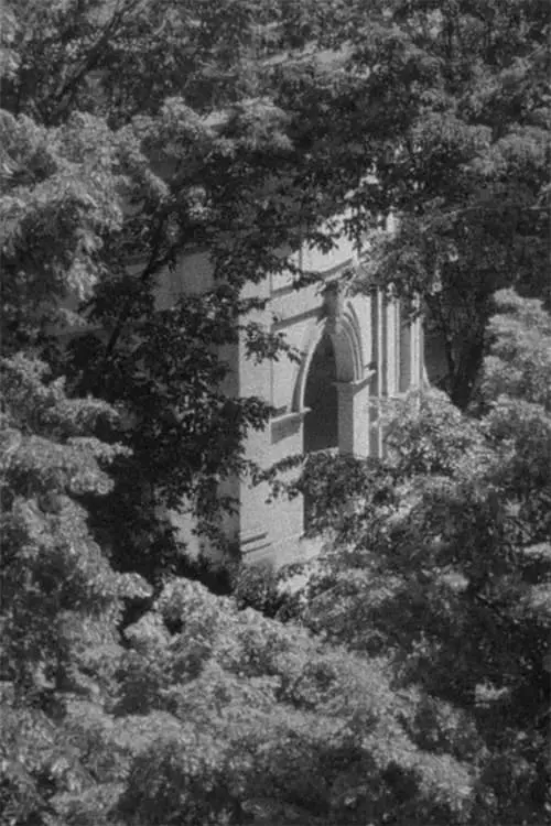 Movie poster "Materia vibrante"