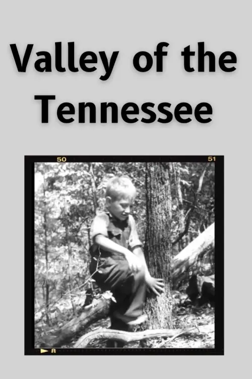 Movie poster "The Valley of the Tennessee"