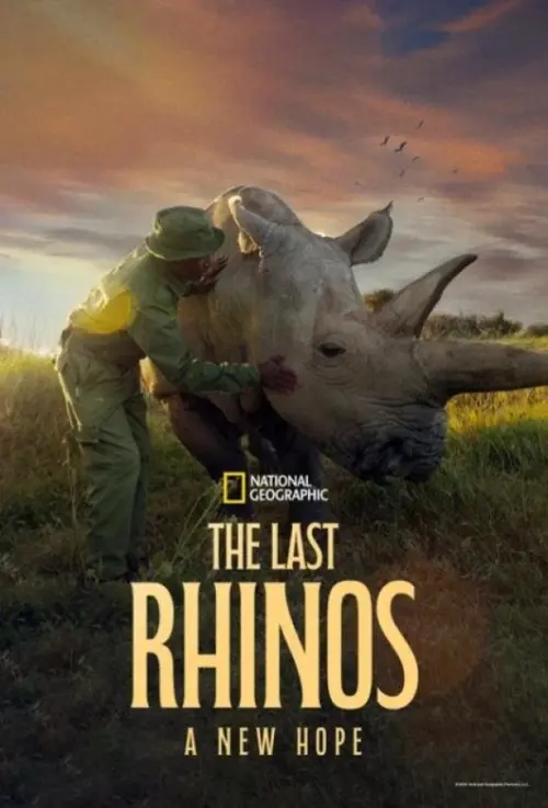 Movie poster "The Last Rhinos: A New Hope"