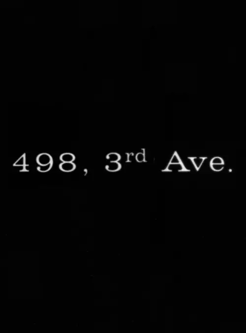 Movie poster "498 Third Avenue"