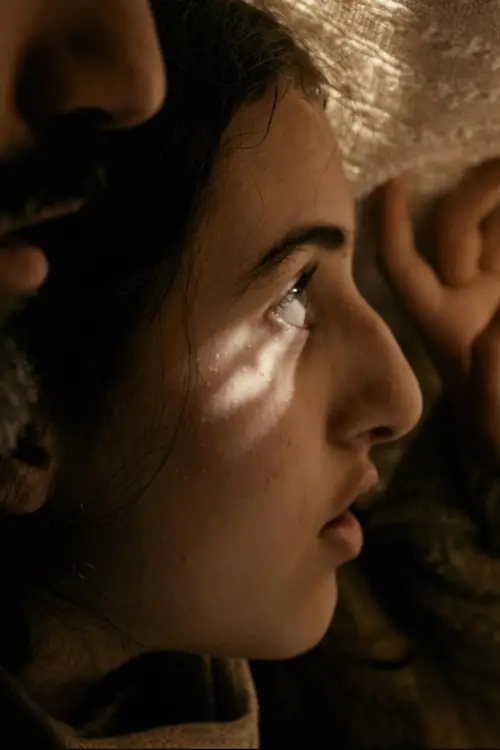 Movie poster "Terra"