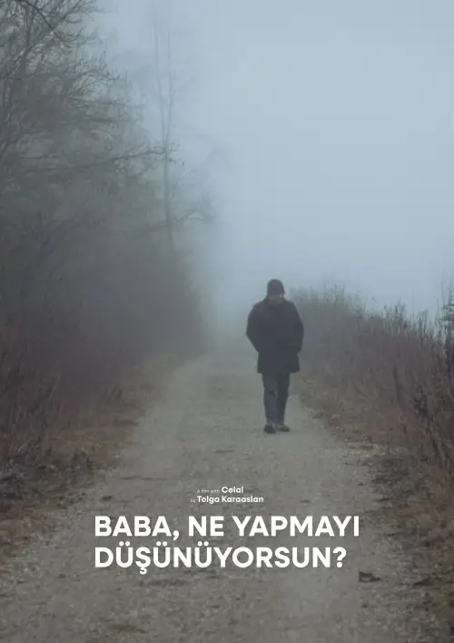 Movie poster "Baba, What