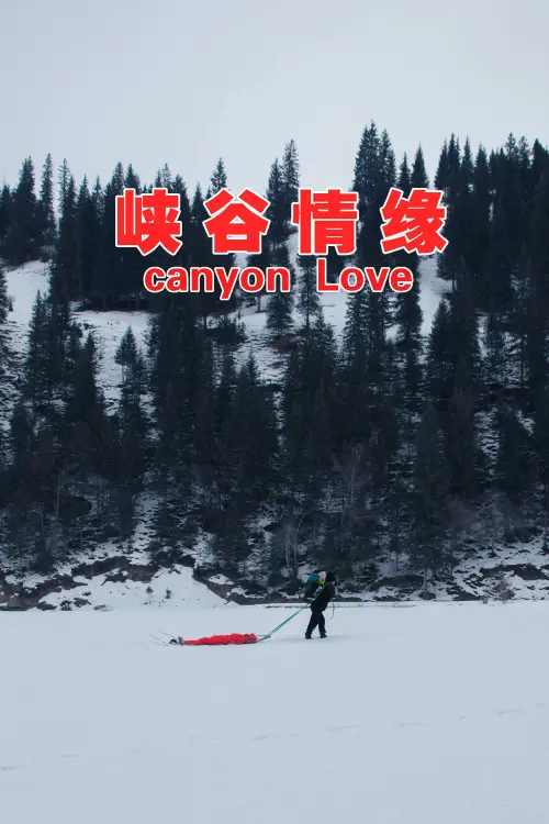 Movie poster "Canyon Affair"