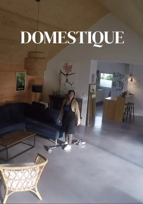 Movie poster "Domestique"