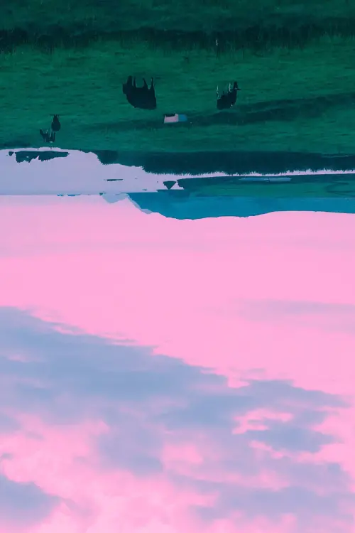 Movie poster "Still Beauty"