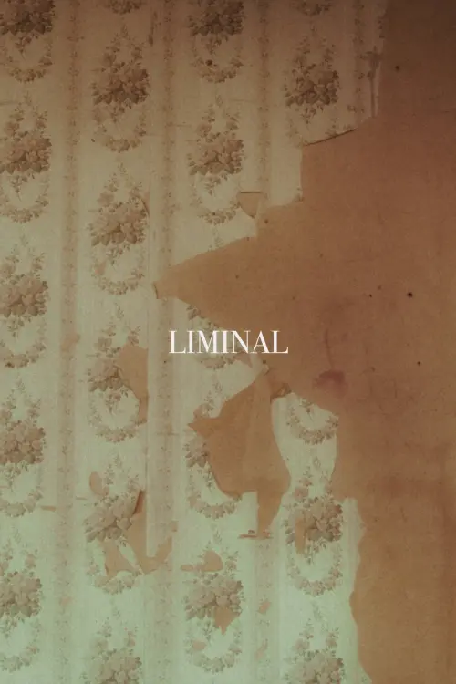 Movie poster "LIMINAL"