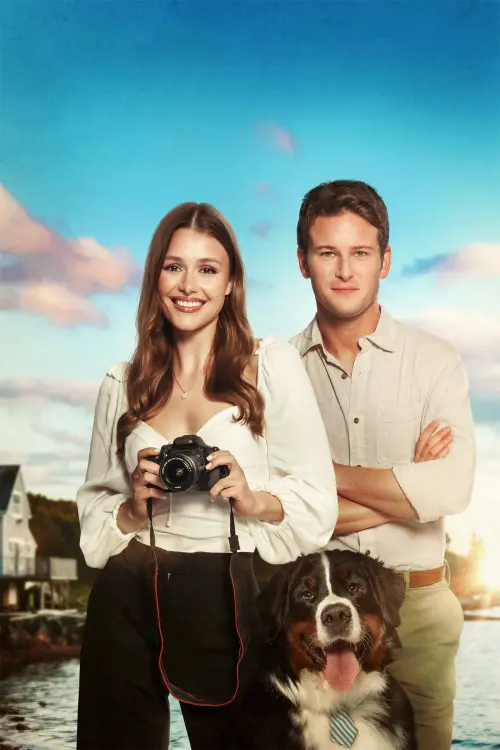 Movie poster "Picture Perfect Romance"
