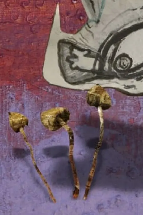 Movie poster "Space Snails"