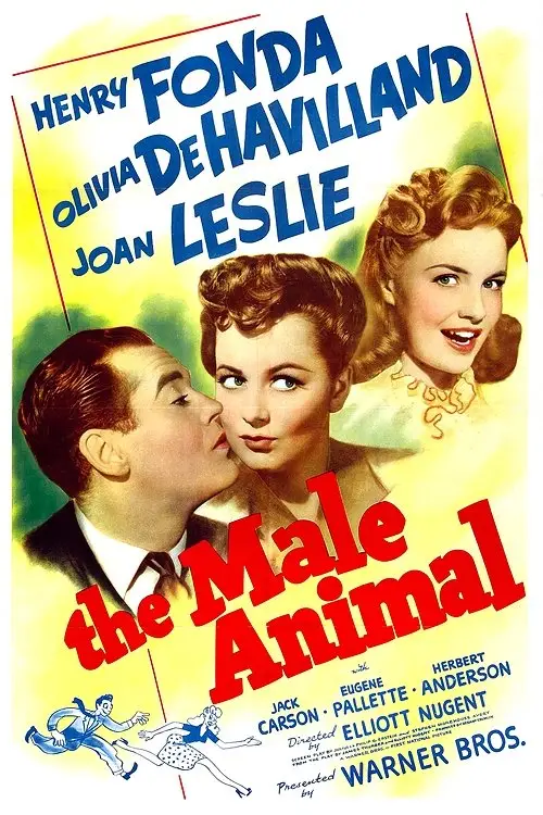 Movie poster "The Male Animal"