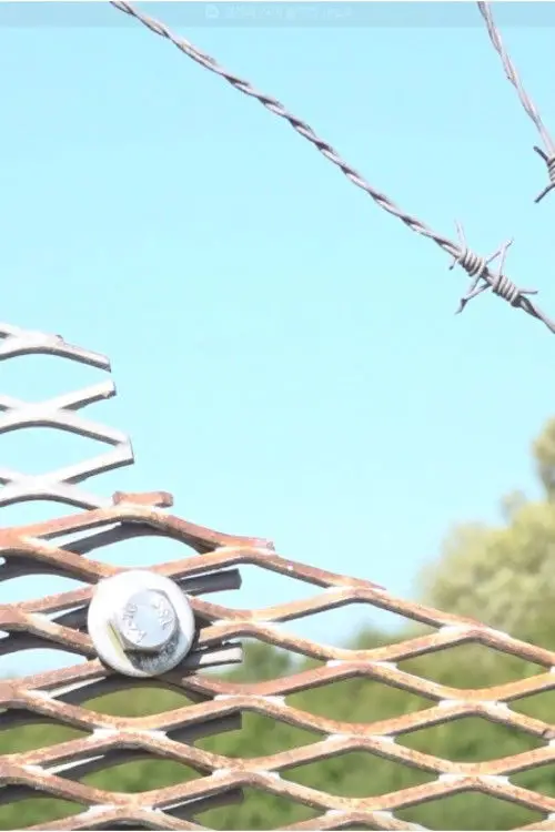 Movie poster "Between Borders"