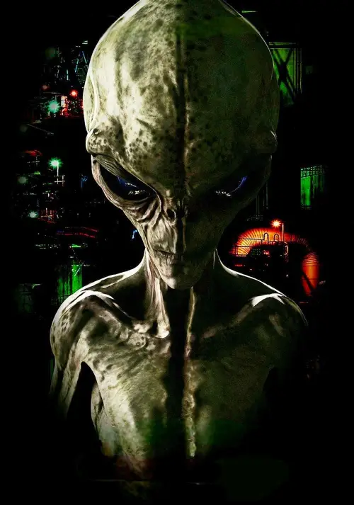 Movie poster "Gray Matter"