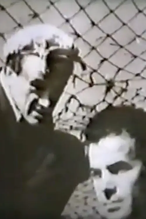 Movie poster "Aeroporto"