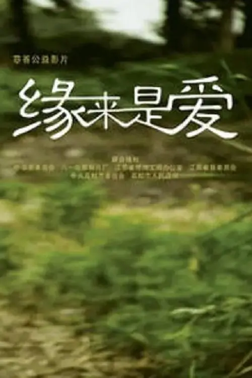 Movie poster "Blessed Destiny"