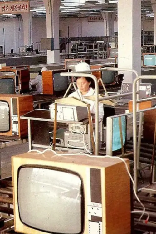 Movie poster "Nameless Grass"