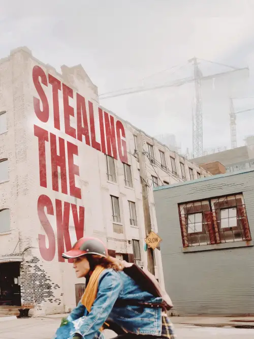 Movie poster "Stealing the Sky"