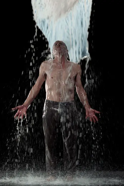 Movie poster "Inverted Birth"