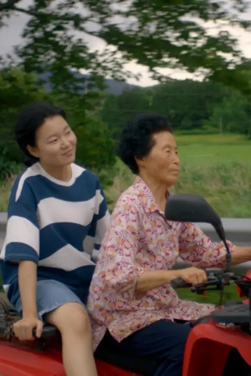 Movie poster "Island of Young-a"