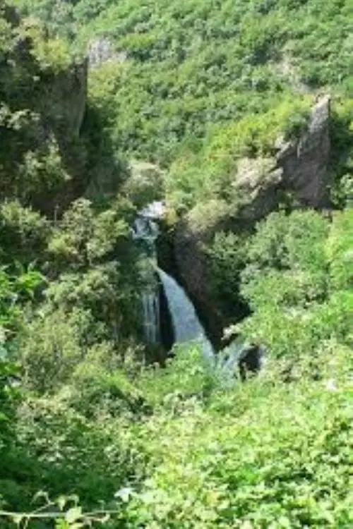 Movie poster "Sara Original"