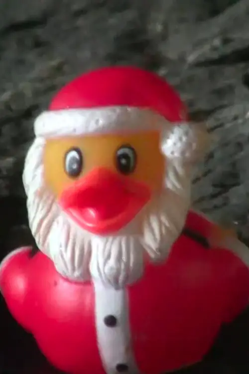 Movie poster "Duck Santa"