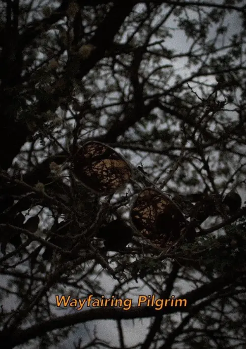 Movie poster "Wayfaring Pilgrim"