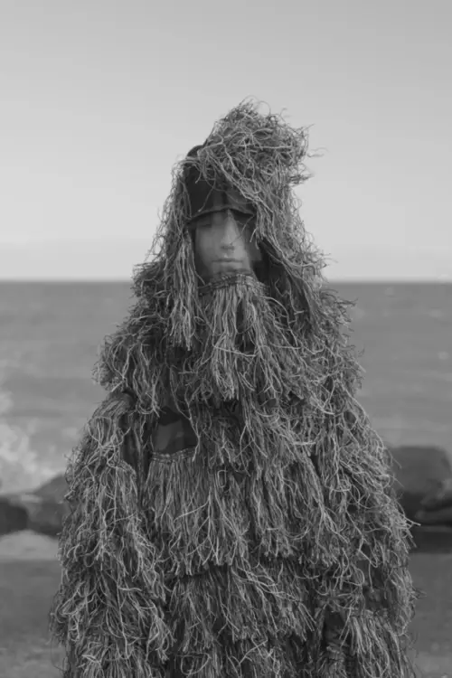 Movie poster "Monsters"