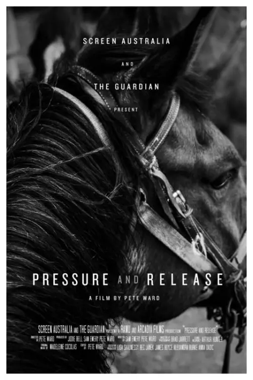 Movie poster "Pressure and Release"