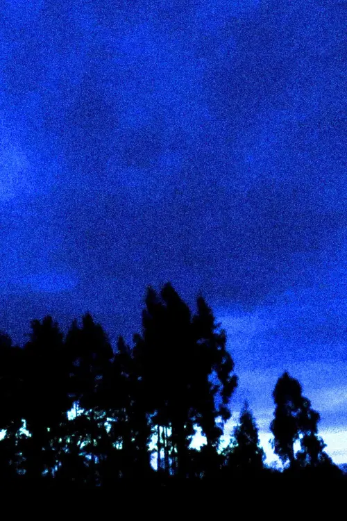 Movie poster "Looking South"