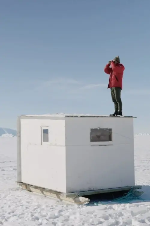 Movie poster "Object of Study"